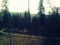 /album/vatra-dornei/img-20140308-180919-jpg/