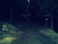 /album/vatra-dornei/img-20140308-181744-jpg/
